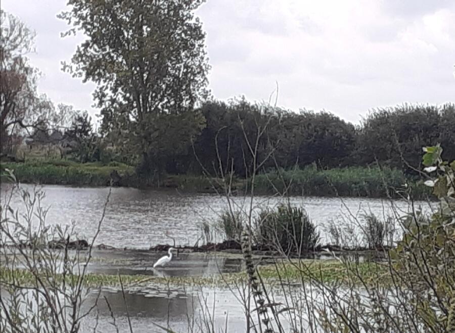 Paden van Welzijn en harmonie