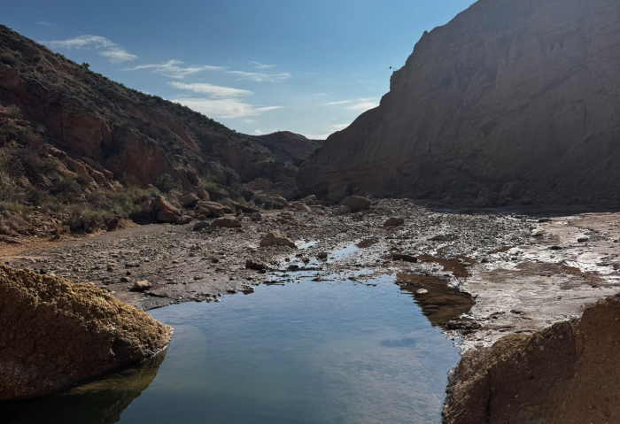 Op verkenning in het onderbewustzijn